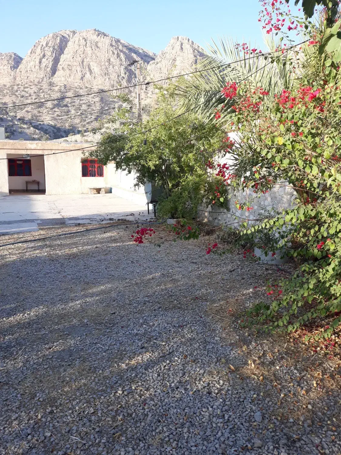 باغ ویلایی در گناوه لری|فروش خانه و ویلا|دوگنبدان, |دیوار