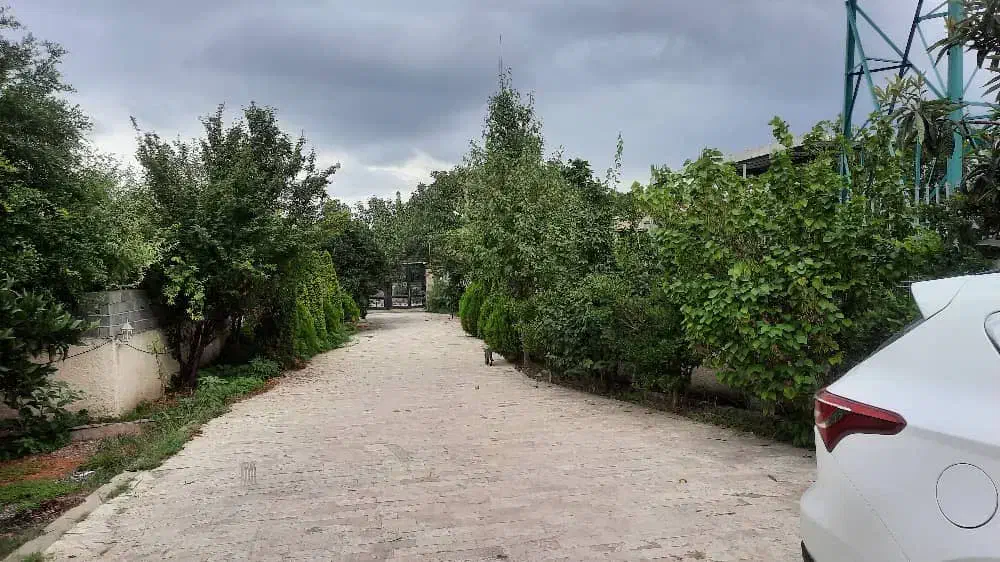 ویلادوبلکس/ویوجنگل/کد۴۲۲۳/حبوباتی|اجارهٔ خانه و ویلا|رویان, |دیوار