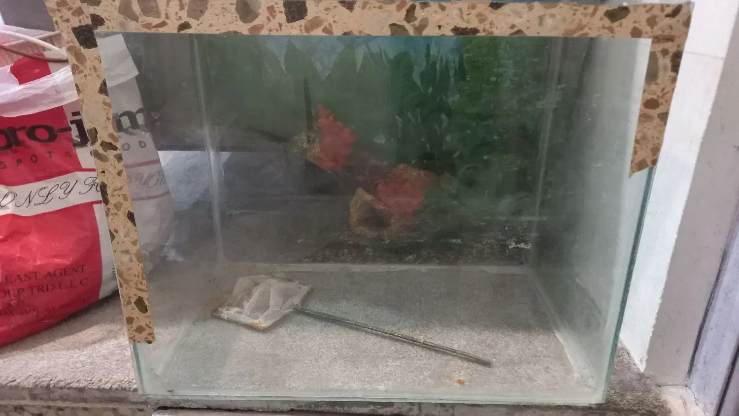 تجهیزات آکواریم|ماهی|بهبهان, |دیوار