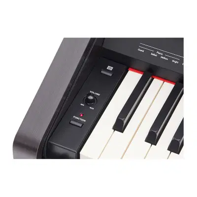 Roland RP30|پیانو، کیبورد، آکاردئون|تهران, فردوسی|دیوار