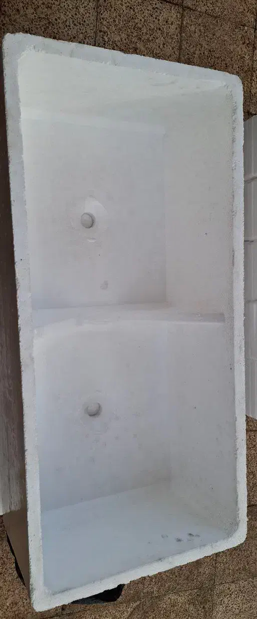 گلدان|گل و گیاه طبیعی|خسروشاه, |دیوار