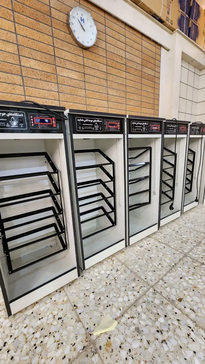 دستگاه اسـتاندار() یکســال گارانــتی/جوجه کشی|لوازم جانبی حیوانات|رباطکریم, رباطکریم|دیوار