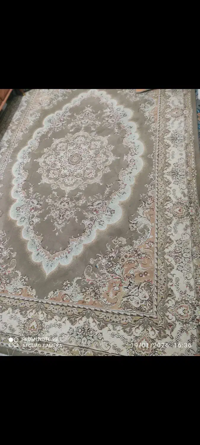 فرش ۶ متری|فرش|کرمانشاه, |دیوار