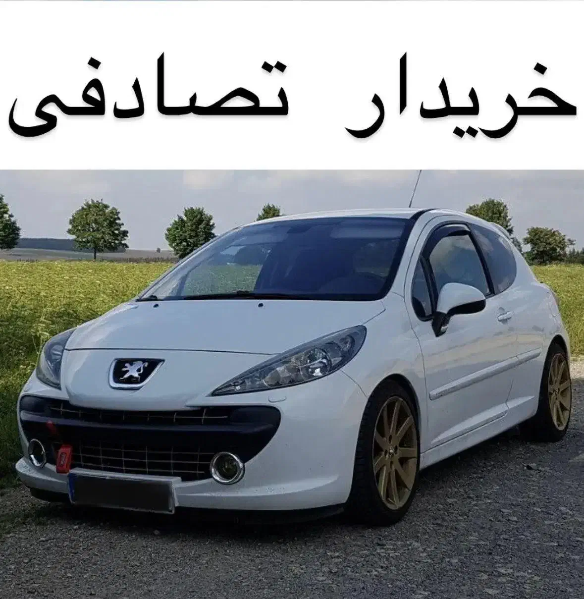 ۲۰۷ فول اسپرت / ارزیابی و مشاوره‌ی تصادفی|خودرو سواری و وانت|سمنان, |دیوار