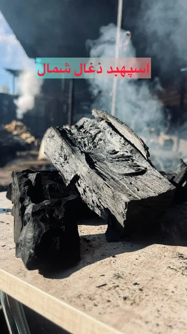 تولید ذغال کبابی و مرکبات 40 تن در ماه|عمده‌فروشی|سورک, |دیوار