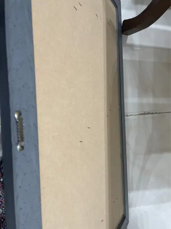 تابلو نقاشی فرانسوی چاپ|تابلو، نقاشی، عکس|اهواز, شهرک نفت|دیوار