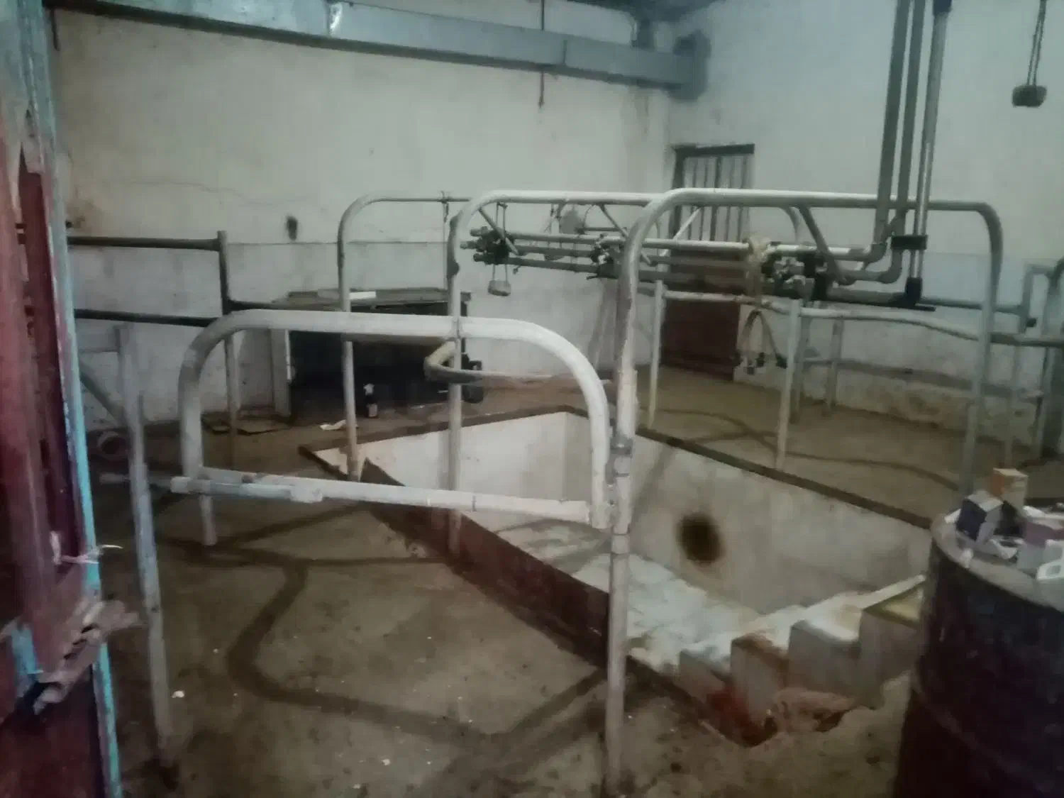 واحد1 گاوداری40راسی صنعتی مجتمع.شفق فریمان|اجارهٔ دفتر صنعتی، کشاورزی، تجاری|فریمان, |دیوار