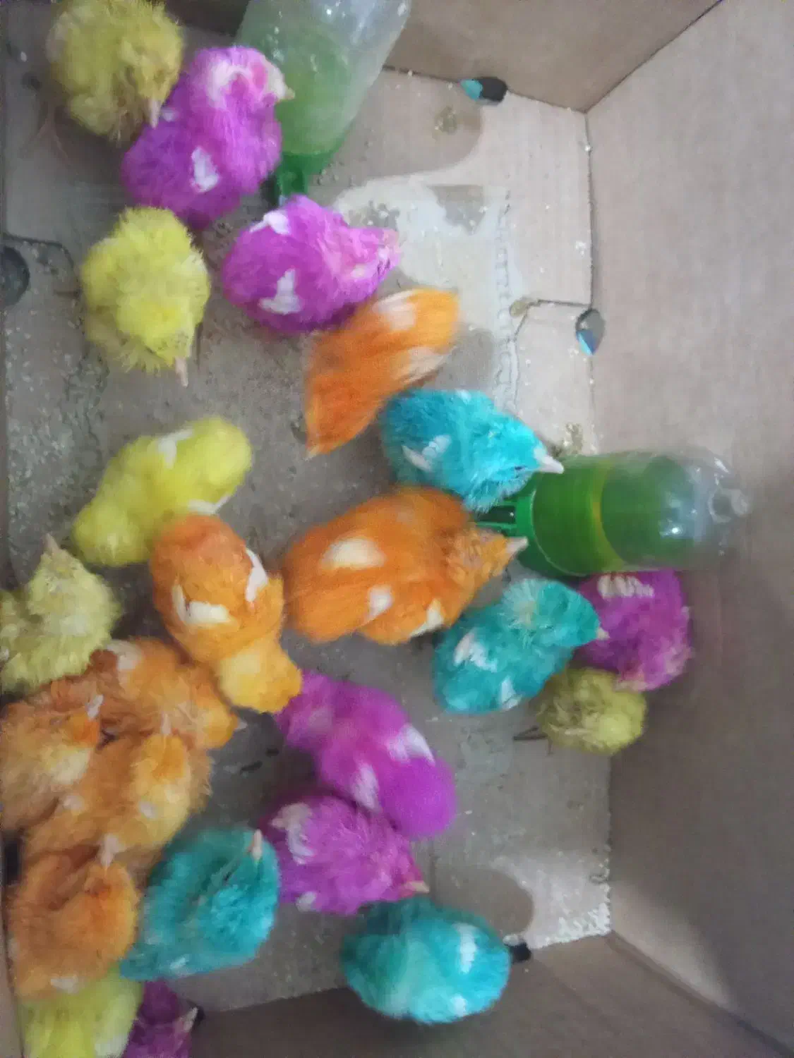 فروشی|اشیا|بندر ماهشهر, |دیوار