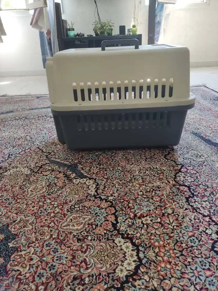 باکس سگ|لوازم جانبی حیوانات|کرج, شاهینویلا|دیوار