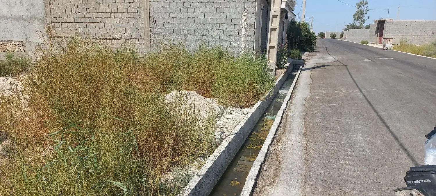 زمین|فروش زمین و ملک کلنگی|چغادک, |دیوار