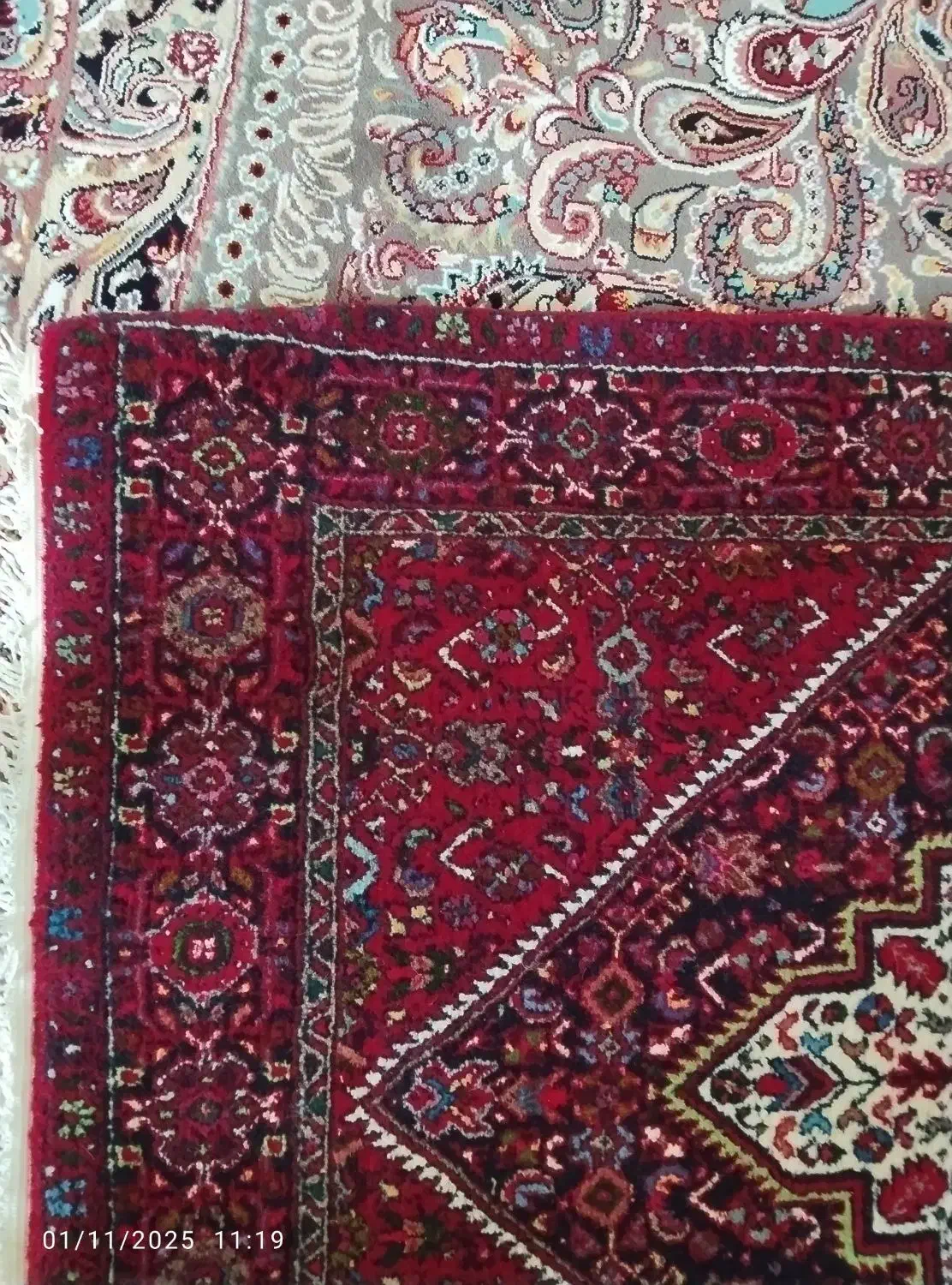 فرش دستباف زرنیم|فرش|زنجان, |دیوار