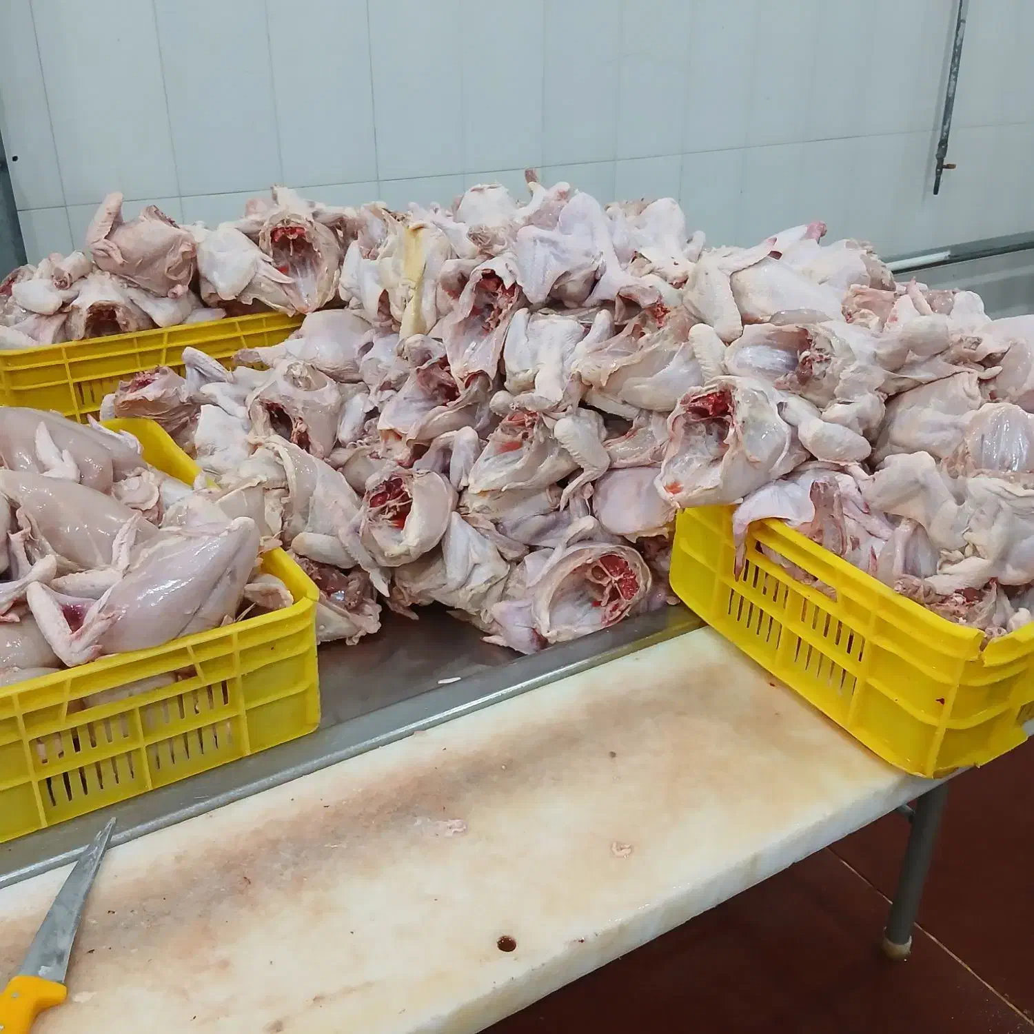 نیروی کار برای قطعه بندی مرغ|استخدام خدمات فروشگاه و رستوران|اصفهان, قهجاورستان|دیوار