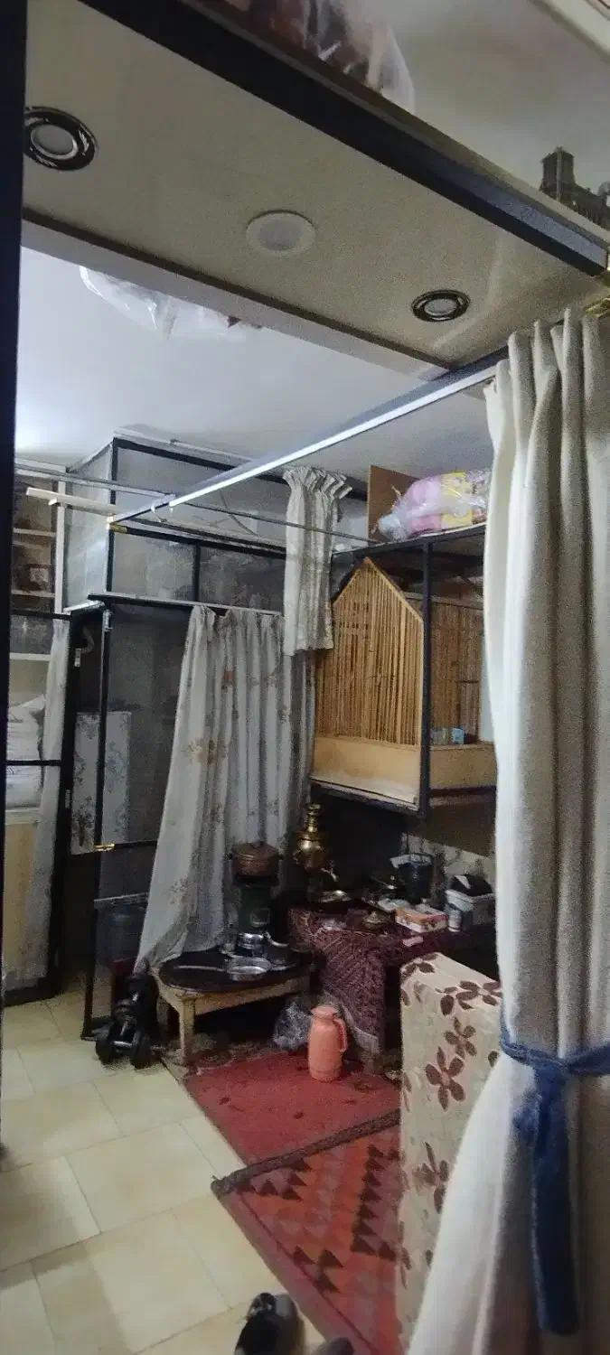 پرنده زینتی|پرنده|تهران, جوانمردان (اندیشه)|دیوار