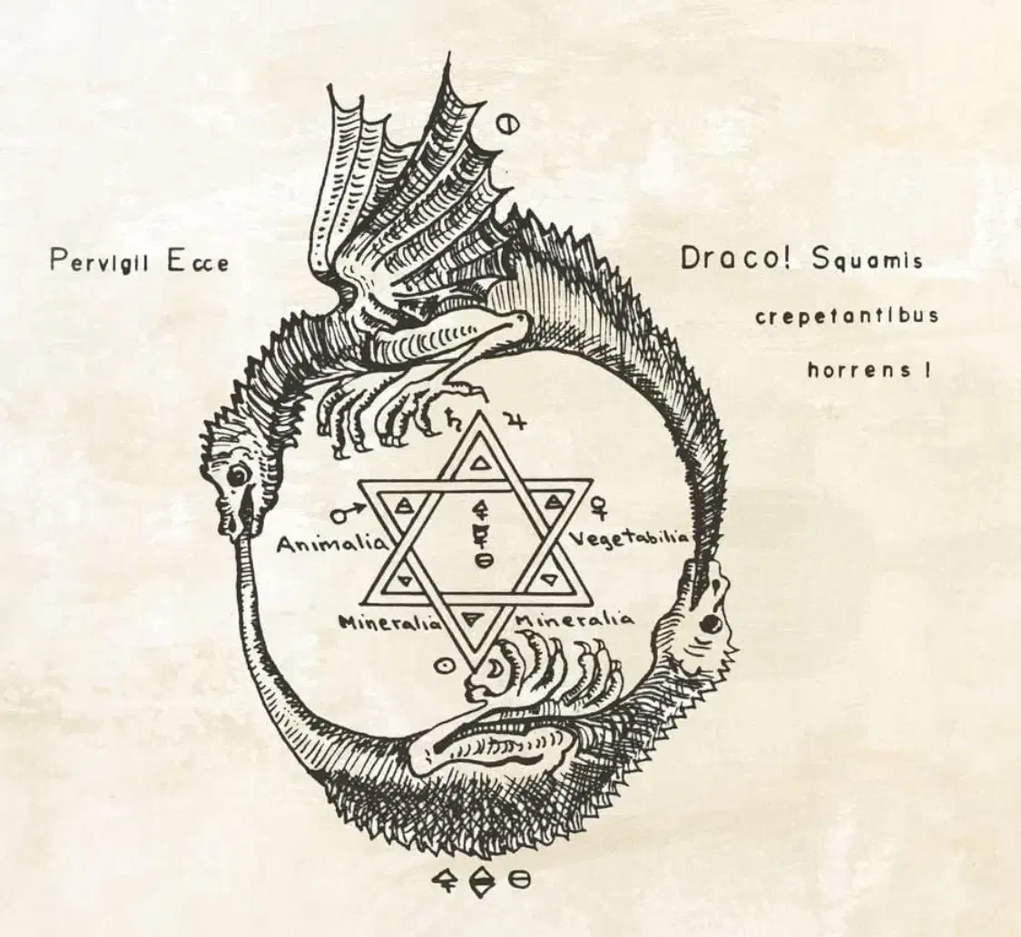 دعارزق روزی|خدمات پذیرایی، مراسم|ایوانکی, |دیوار