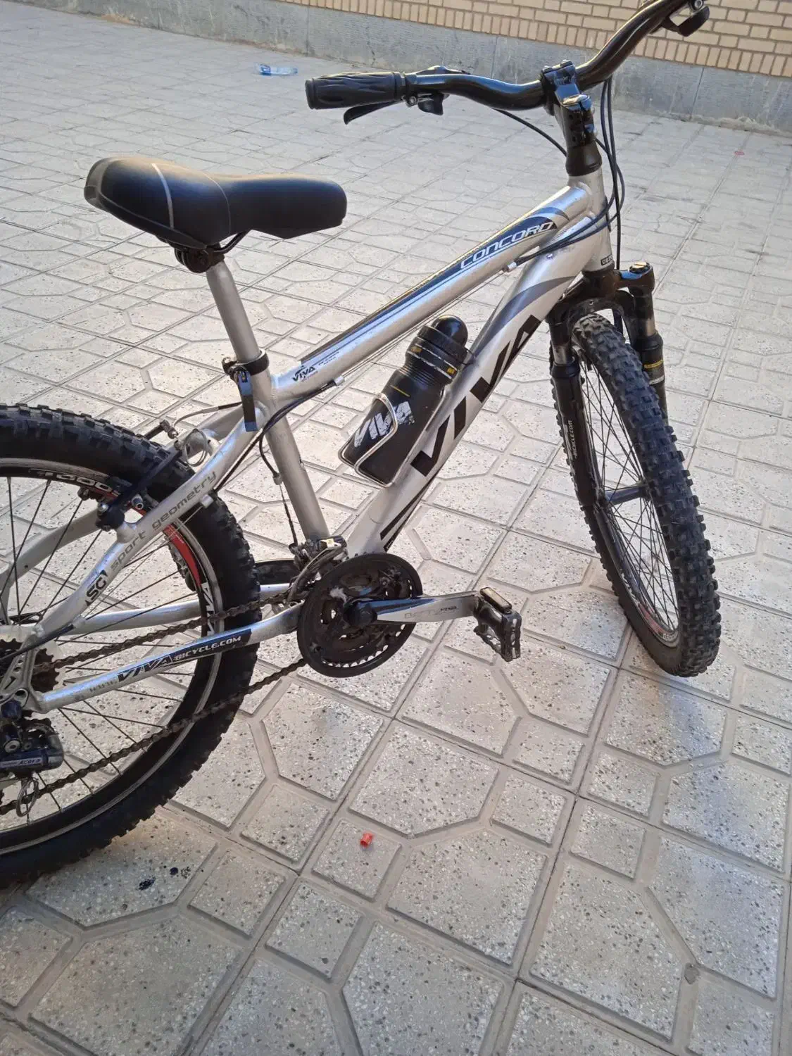 دوچرخه ۲۴ ویوا اصل تایوان|دوچرخه، اسکیت، اسکوتر|بجنورد, |دیوار