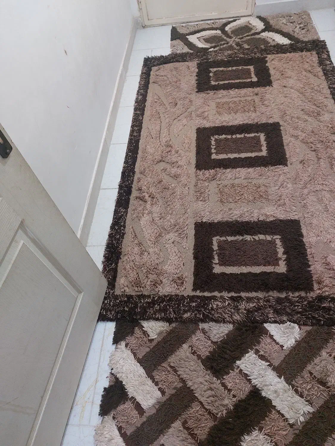 فرش شگی|فرش|بندرعباس, |دیوار