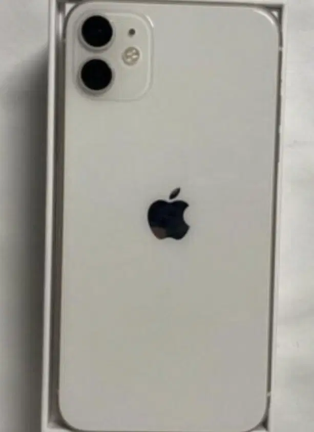 iphone 11 normal|موبایل|مشهد, هنرستان|دیوار