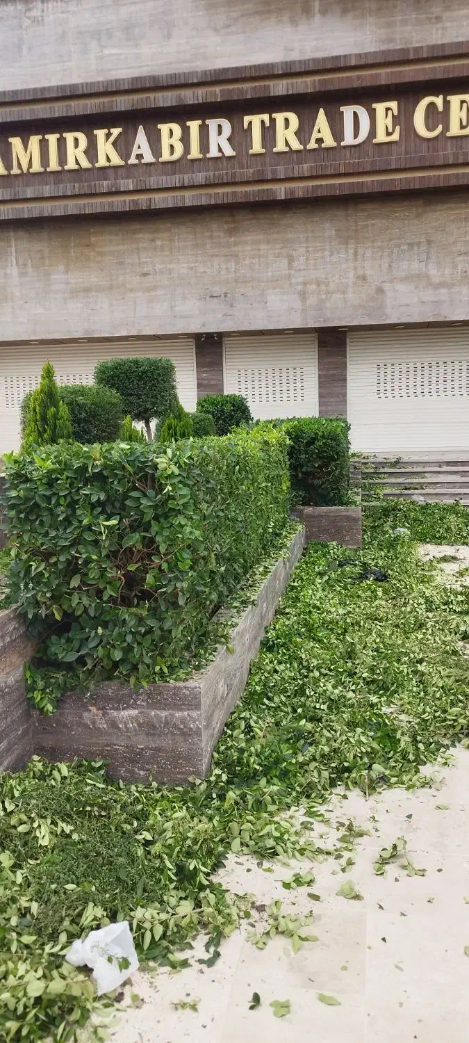 علف تراشی هرس وسمپاشی قطع درخت|خدمات باغبانی و درختکاری|خرمآباد (تنکابن), |دیوار