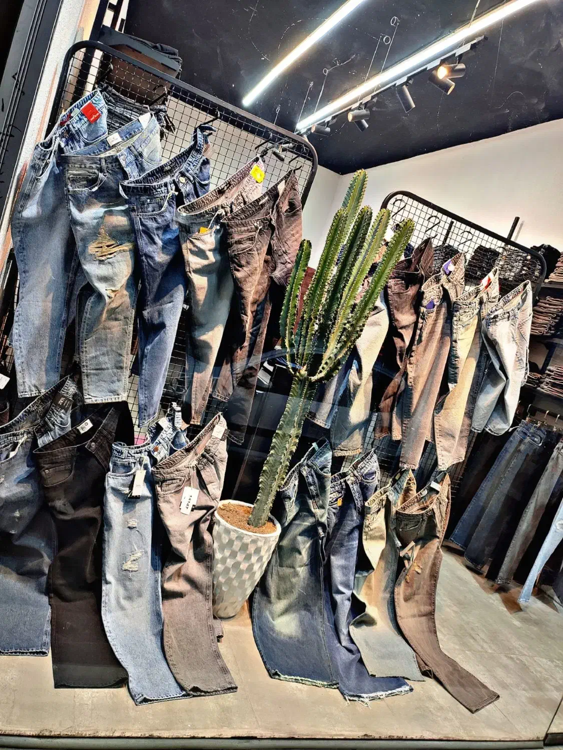 ...|استخدام بازاریابی و فروش|محمدشهر, سیدآباد|دیوار