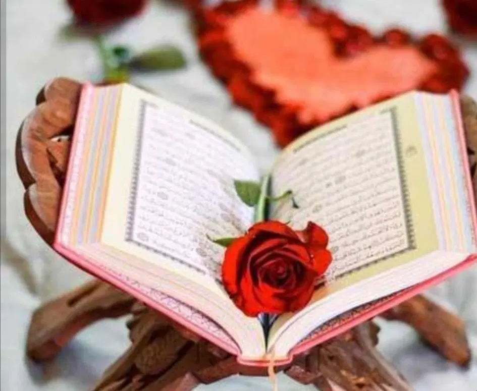 قران کریم|کتاب و مجله مذهبی|بابلسر, |دیوار