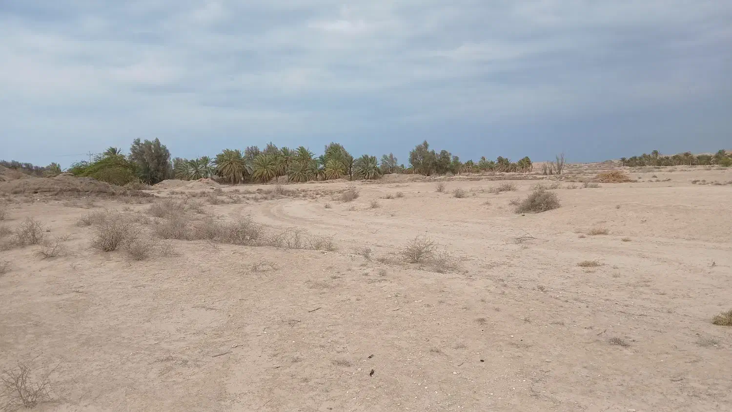 زمین در نزدیکی پار شمالی|فروش زمین و ملک کلنگی|دلوار, |دیوار