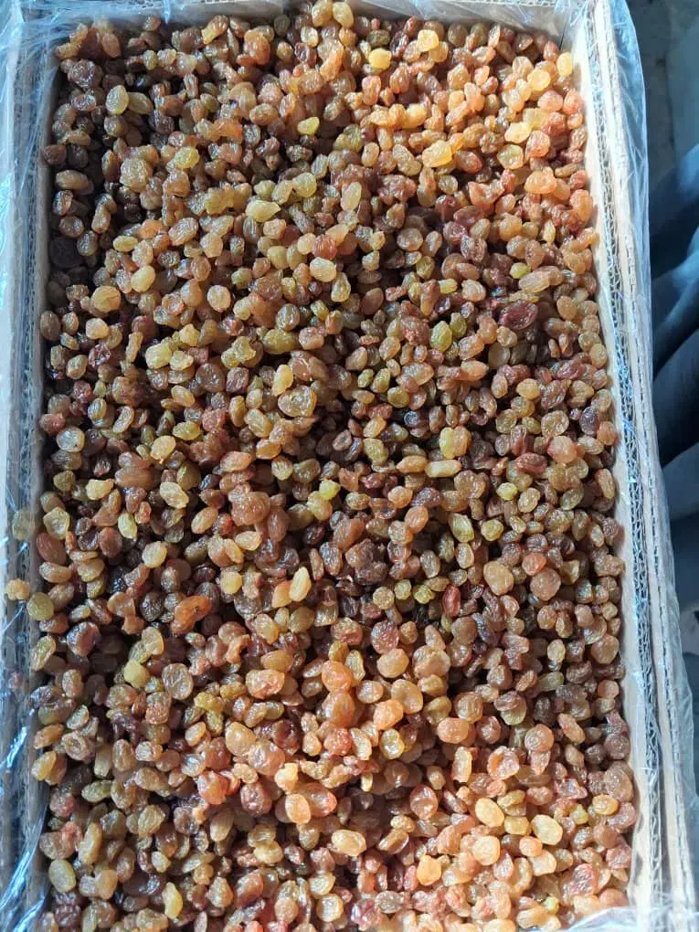 کشمش خوراکی (آبگیری )|خوردنی و آشامیدنی|شهریار, شهریار|دیوار