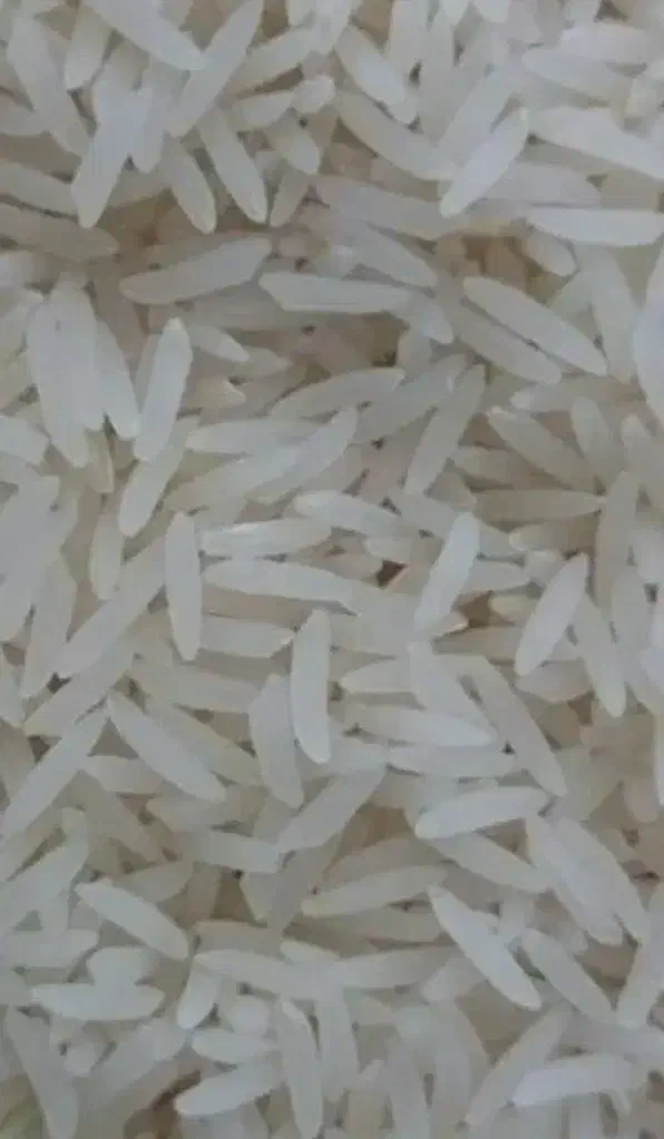 برنج فجر سوزنی 90روزه|خوردنی و آشامیدنی|دلند, |دیوار