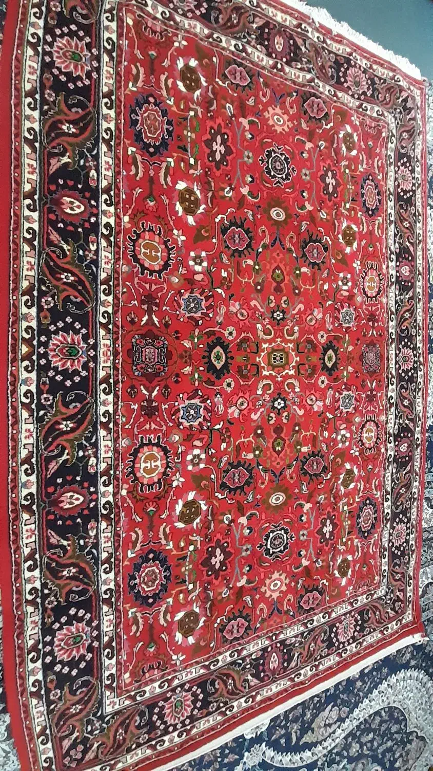 فرش دستباف ۶متری|فرش|ملایر, |دیوار