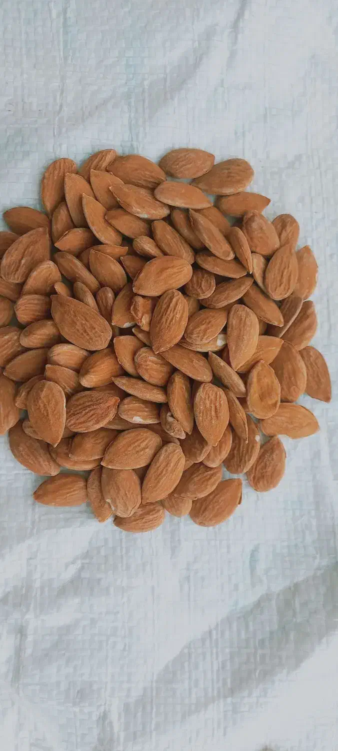 مغز بادام 7و8شاهرودی|خوردنی و آشامیدنی|سده (فارس), |دیوار