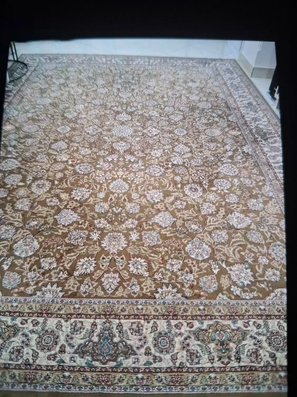 فرش ۱۲ متری نسکافه ای|فرش|ساری, |دیوار