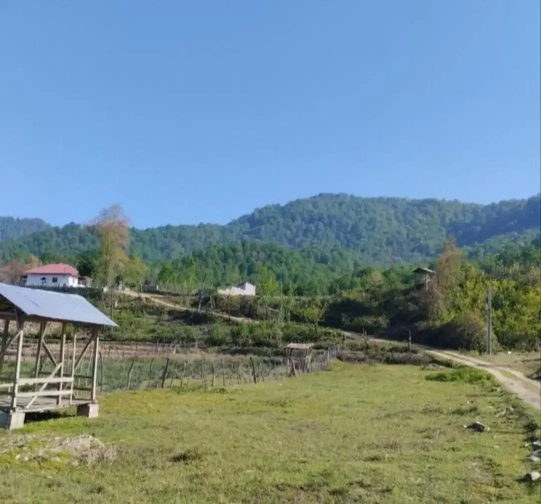 سوییت جنگلی اجاره ای در دل طبیعت|اجارهٔ کوتاهمدت آپارتمان و سوئیت|فومن, |دیوار