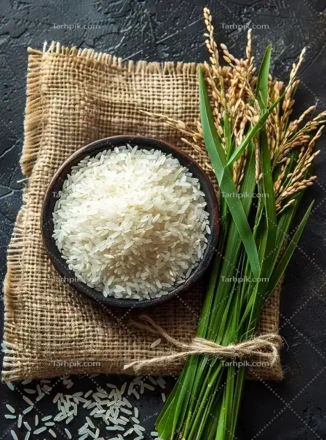 برنج هاشمی|خوردنی و آشامیدنی|تهران, آهنگ|دیوار