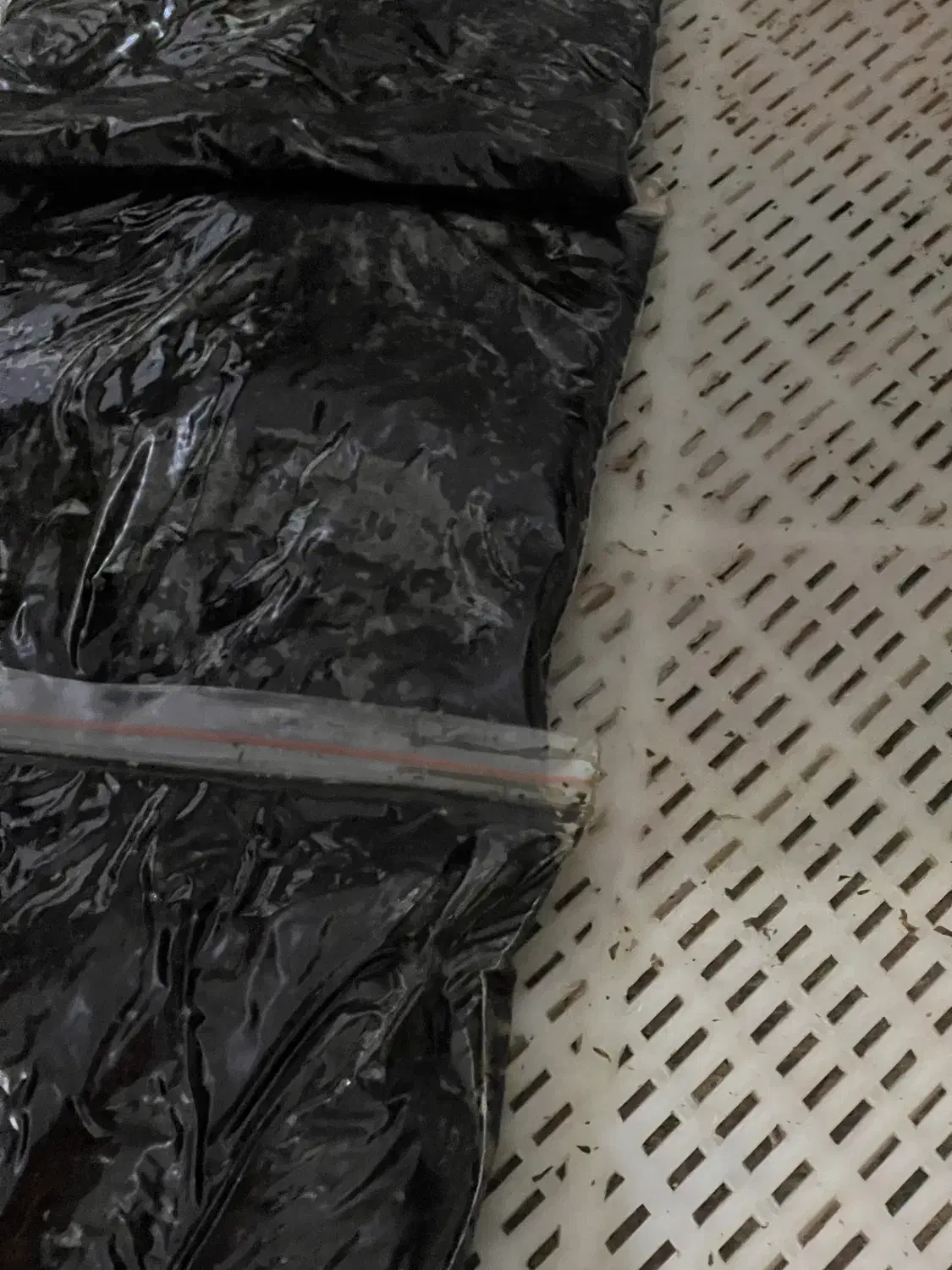 قرمه جنوبی|خوردنی و آشامیدنی|کرج, آق تپه|دیوار