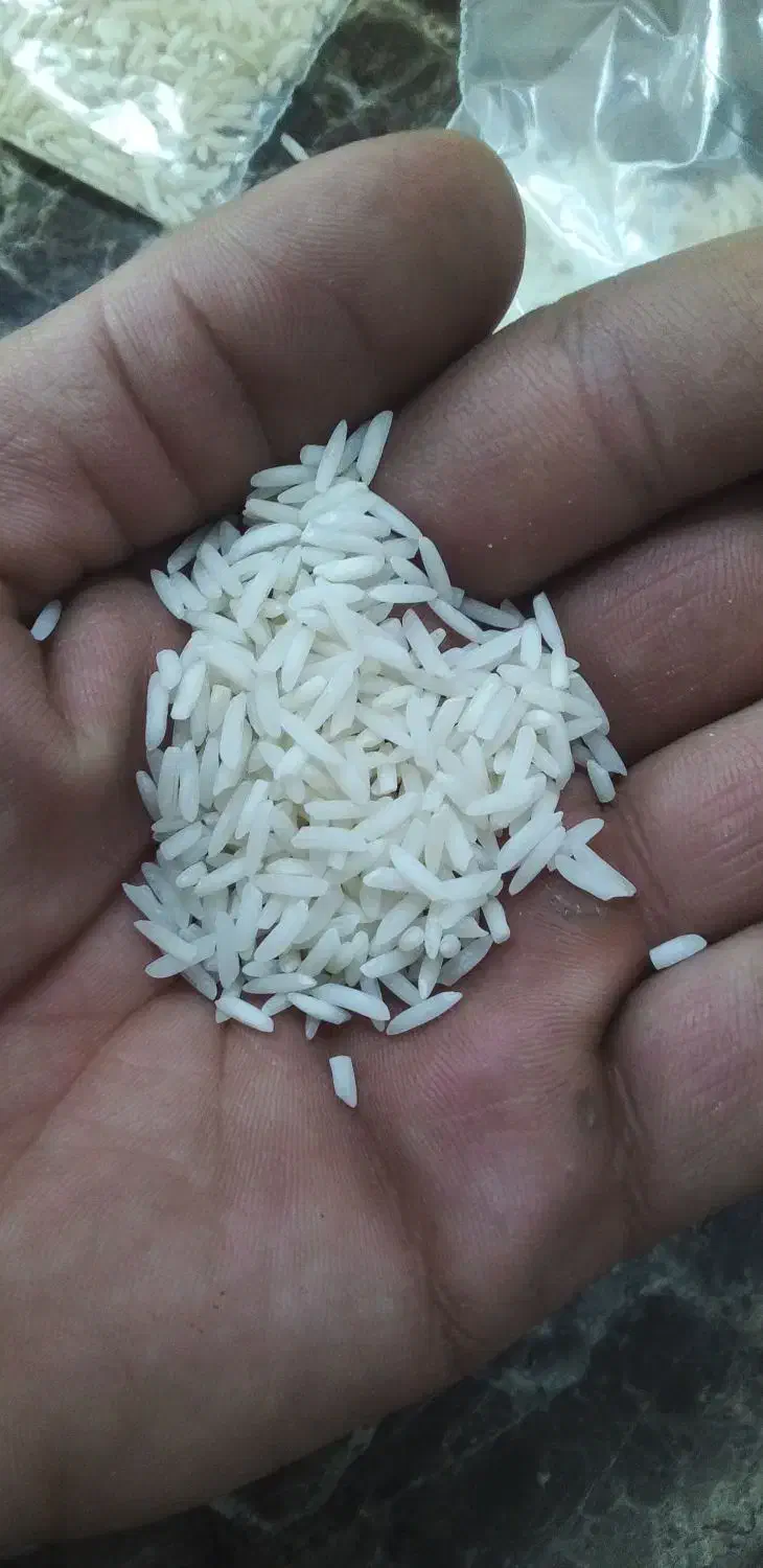 برنج هاشمی کاظمی فجر ممان حصار زنجان|خوردنی و آشامیدنی|ماهدشت, |دیوار