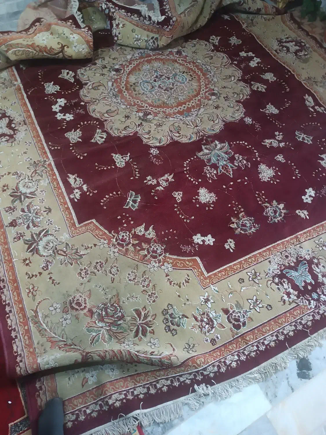 قالی 12متری|فرش|نی‌ریز, |دیوار