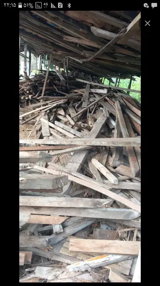 خرید چوبهای ساختمانی|خدمات باغبانی و درختکاری|رشت, منظریه|دیوار