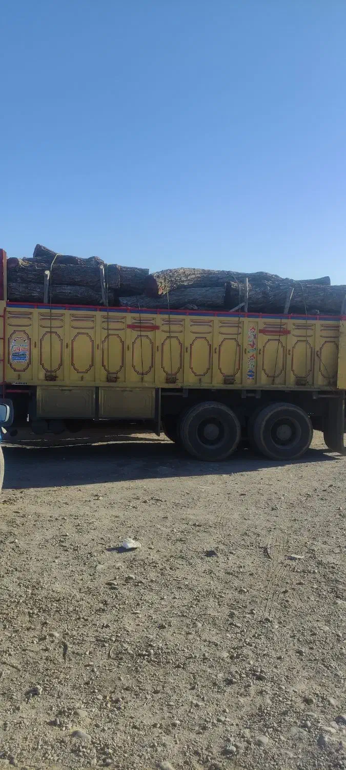 خدمات چوب بری  و هرس درختان|خدمات باغبانی و درختکاری|ساوه, |دیوار