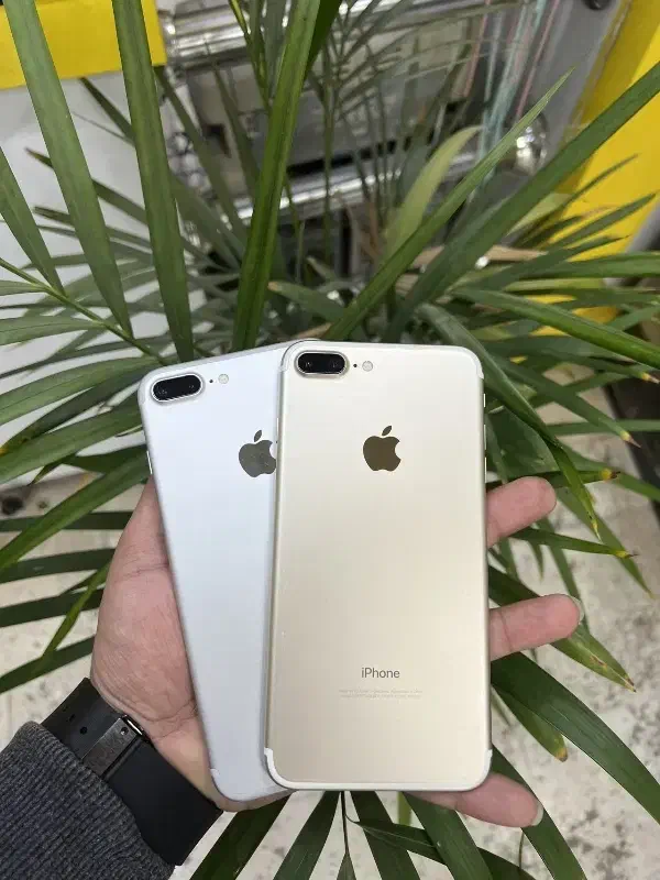 اپل +iPhone 7 با حافظه 128 گیگابایت|موبایل|مشهد, رضاشهر|دیوار