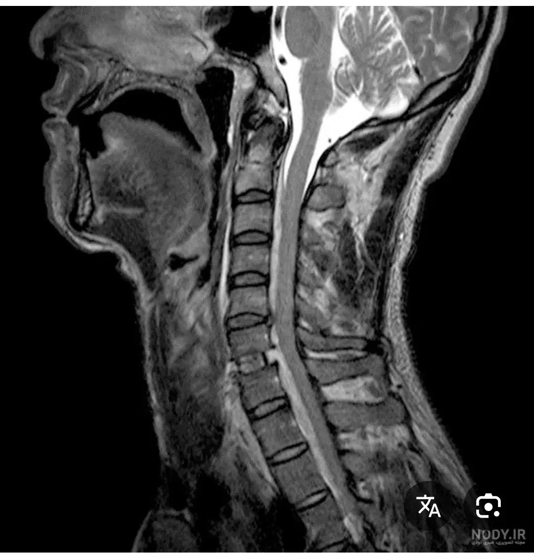 راهنمایی|فعالیت داوطلبانه|باسمنج, |دیوار