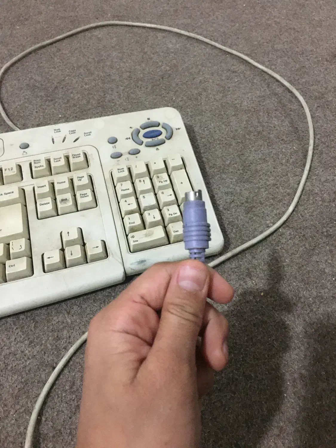 موس و کیبرد|قطعات و لوازم جانبی رایانه|مشکین‌دشت, |دیوار