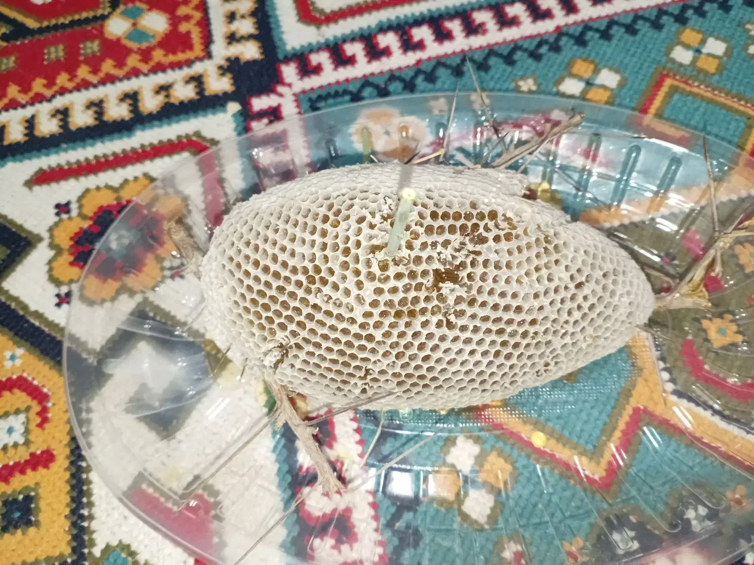 عسل کوهی درجه یک|خوردنی و آشامیدنی|جره و بالاده, |دیوار