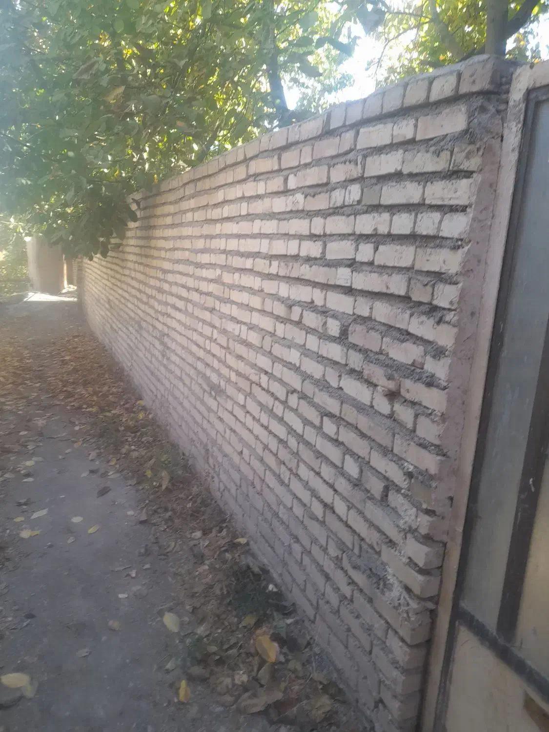 پیمانکاری وباغبانی|خدمات پیشه و مهارت|شاندیز, |دیوار