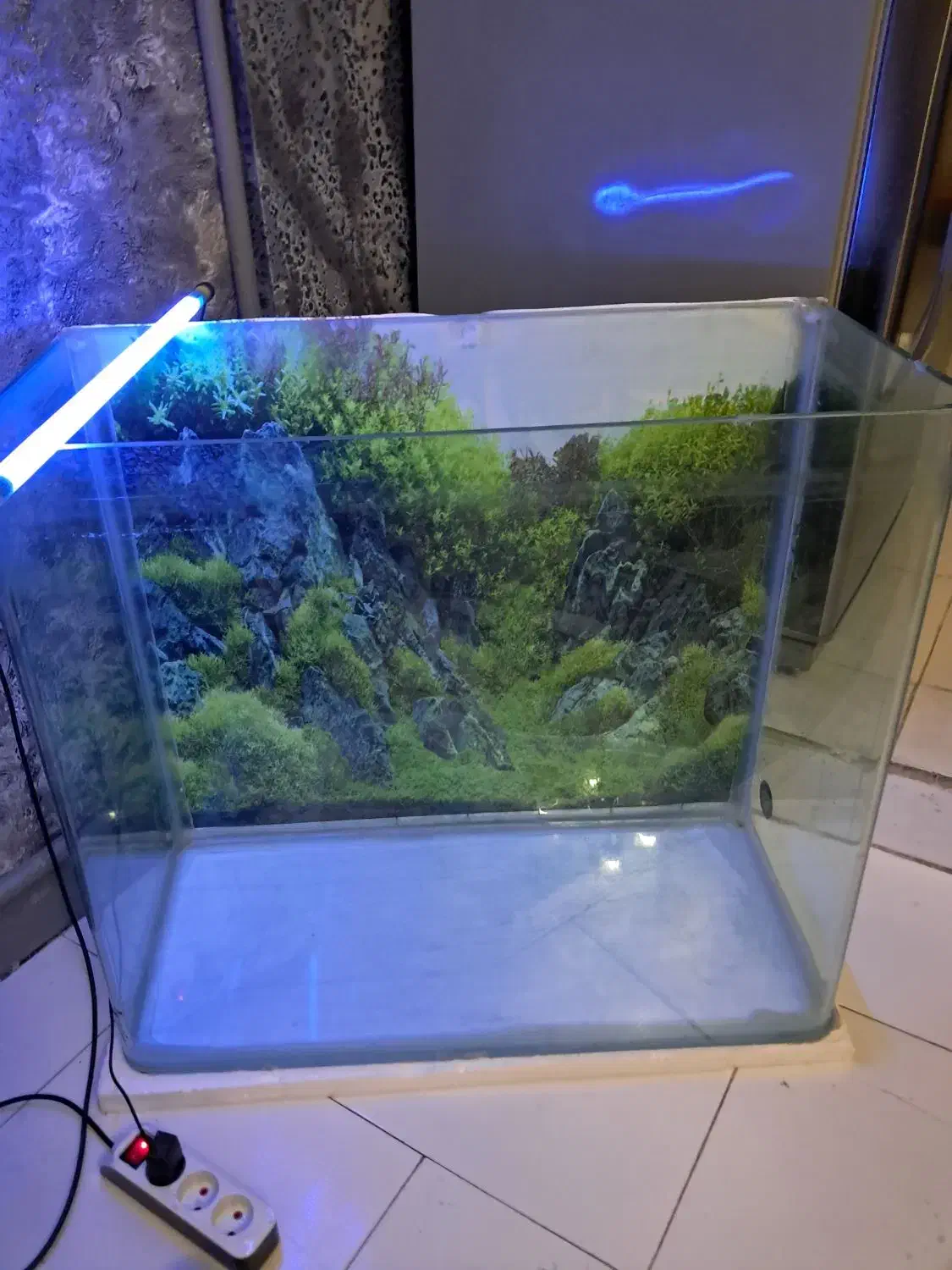 فروش اکواریوم|ماهی|فردیس, شهرک شهید حسینی|دیوار