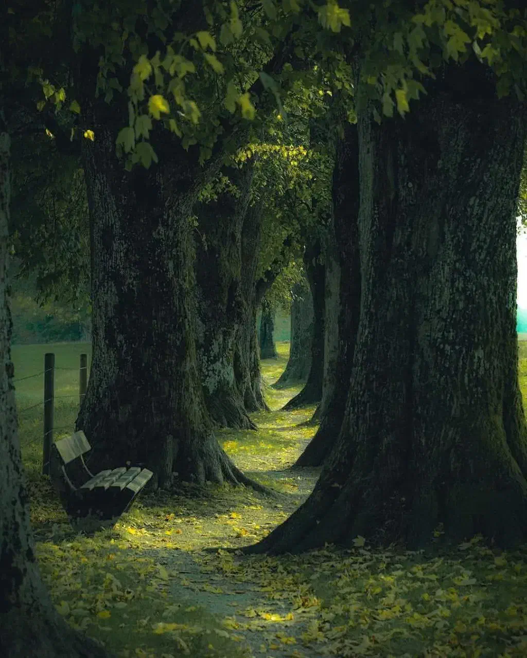 انباری کرایه|فعالیت داوطلبانه|ایلام, |دیوار