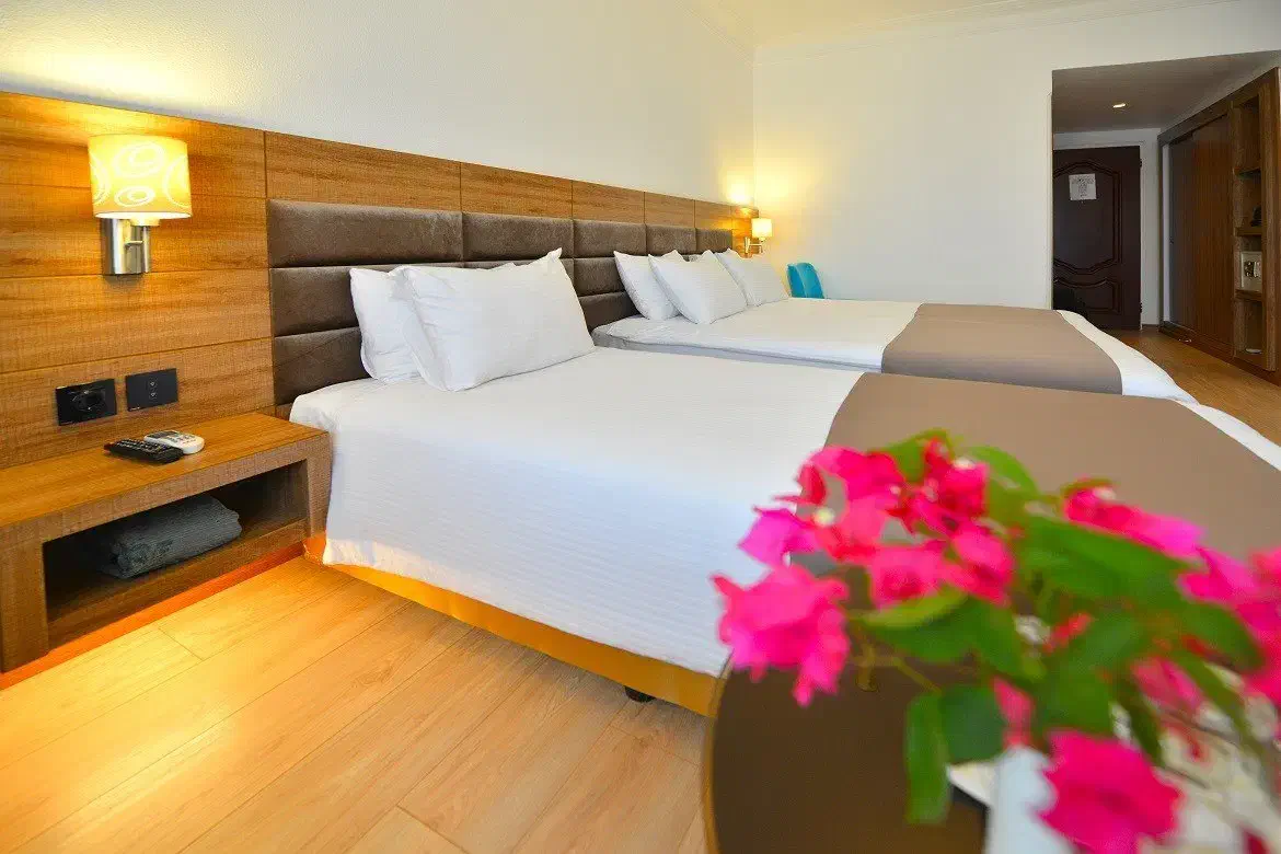 تورهوایی و ریلی|تور و چارتر|نجفآباد, سعدی|دیوار