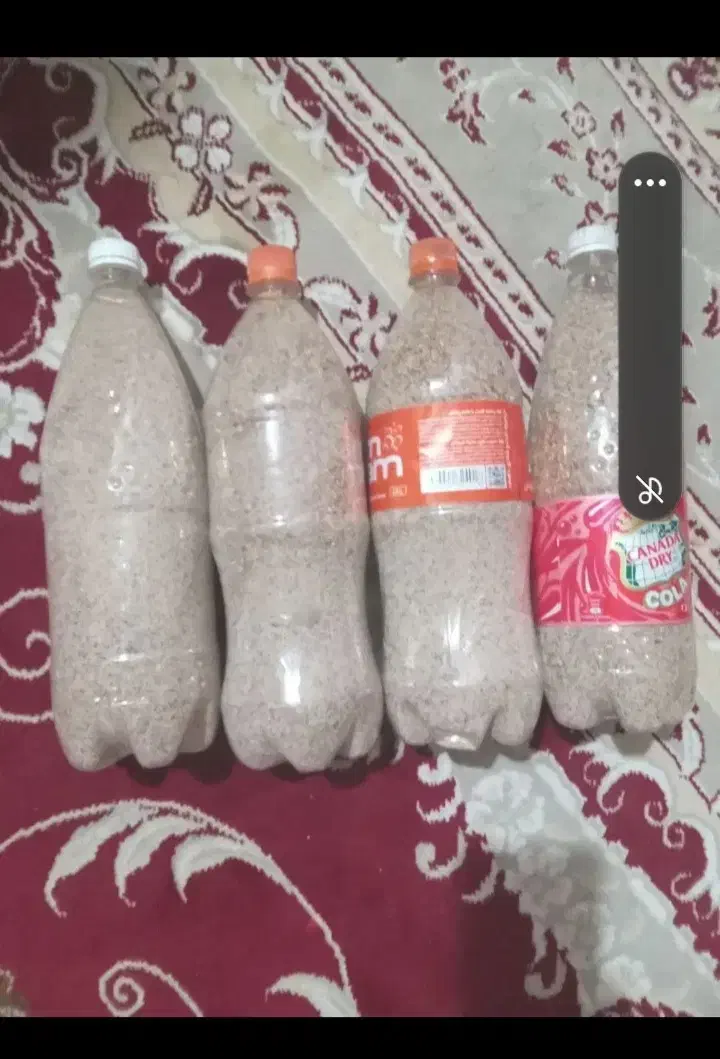 بذر کشاورزی|گل و گیاه طبیعی|کوهدشت, |دیوار