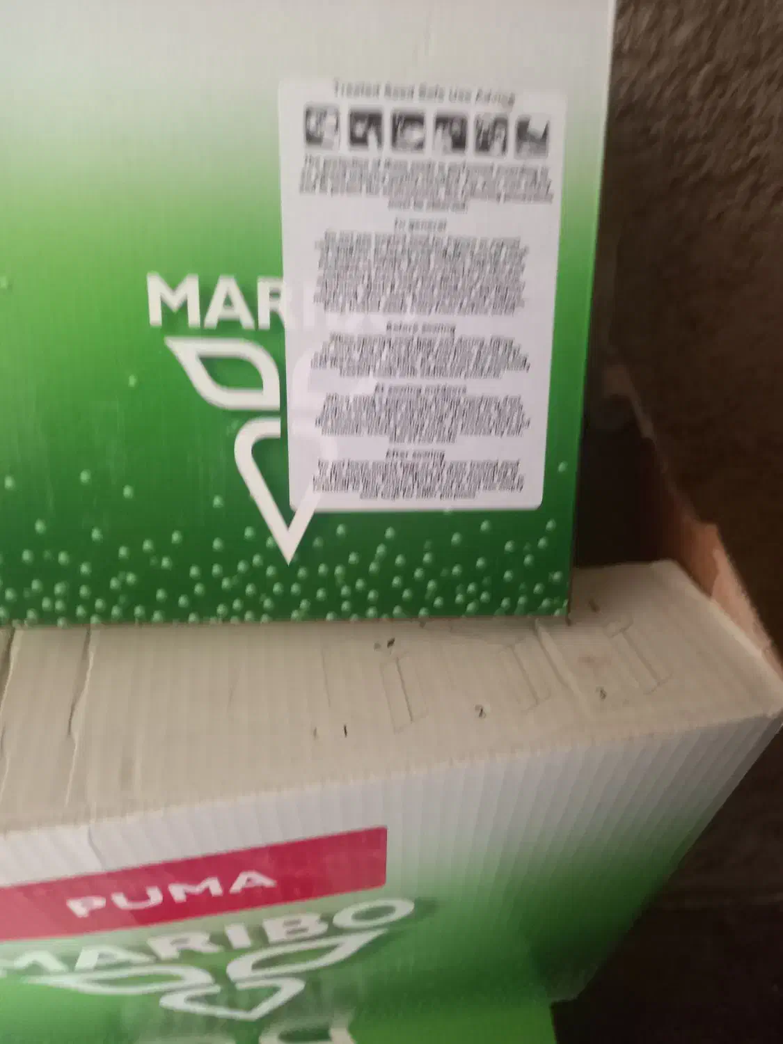 15عددبذرچغندرپوما|عمده‌فروشی|بشاریات, |دیوار