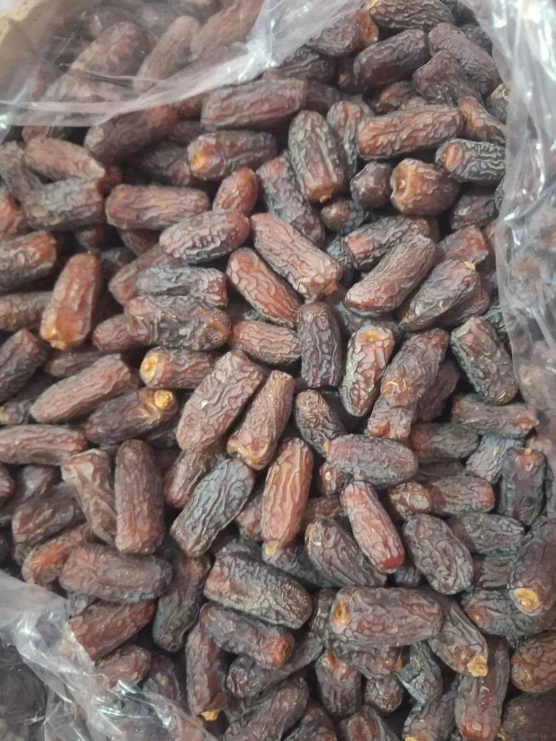 پیارم درجه یک|عمده‌فروشی|کرمان, |دیوار