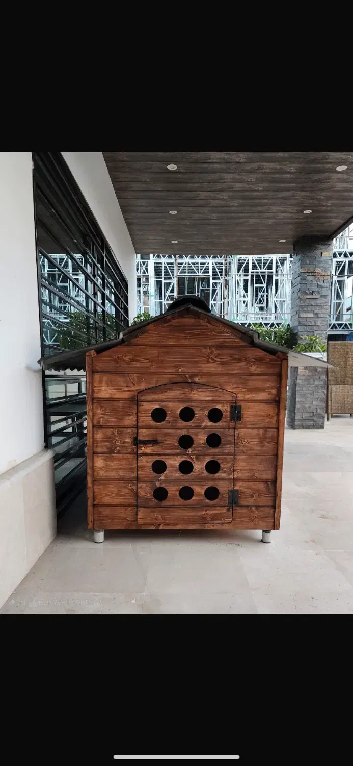 باکس چوبی سگ و گربه|لوازم جانبی حیوانات|کلارآباد, |دیوار