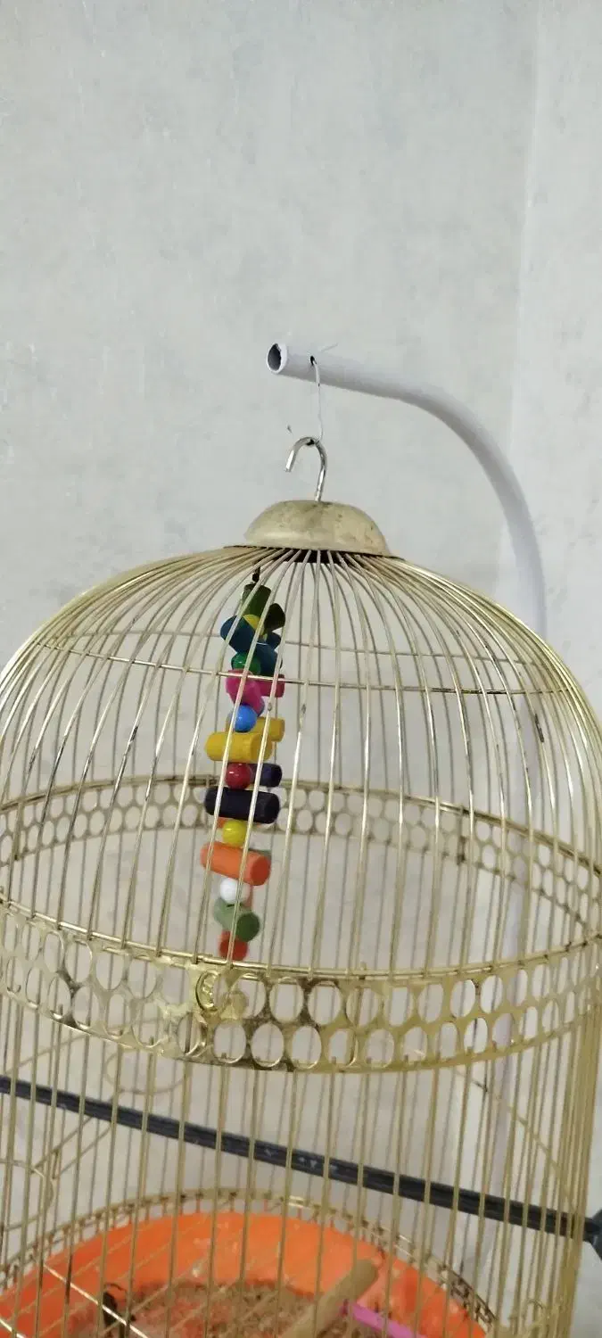 قفس پرنده گرد با پایه|لوازم جانبی حیوانات|مشهد, هنرور|دیوار